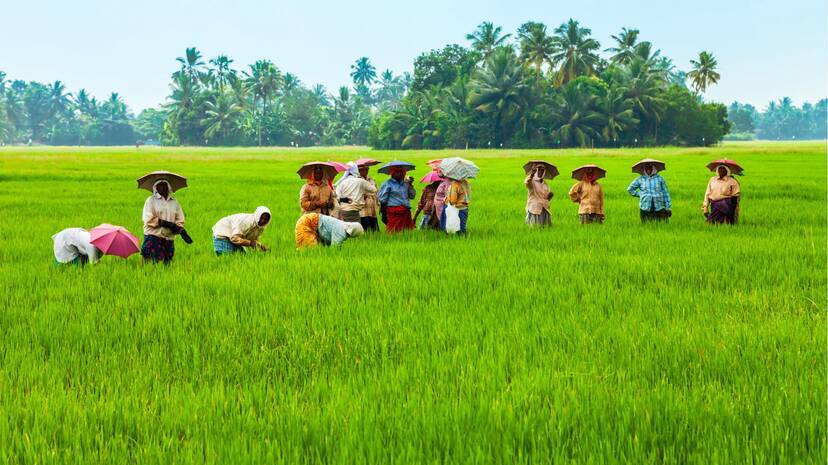 agri