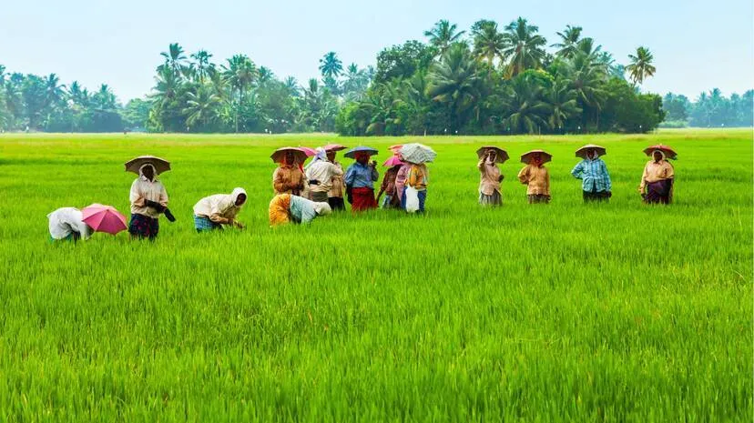 agri