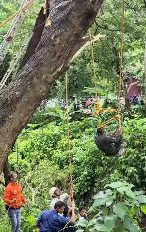 raju