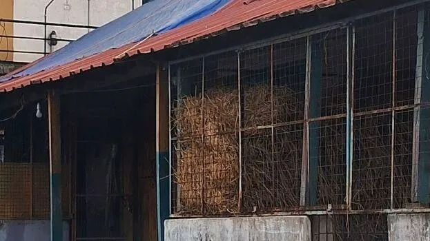 ccc