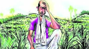 farmer