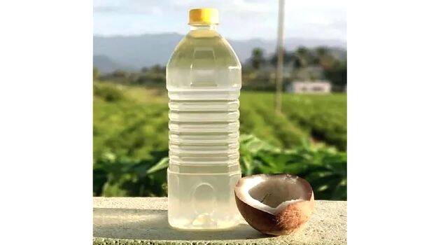 cocnut