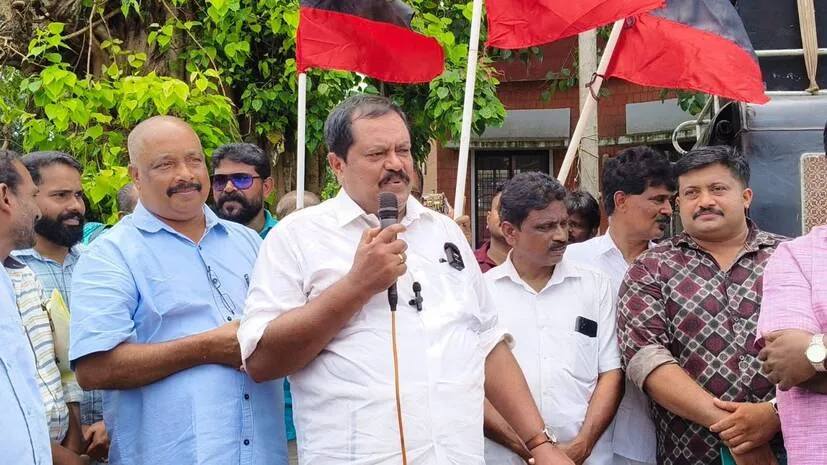 dmk