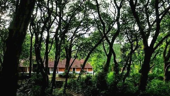 kulam