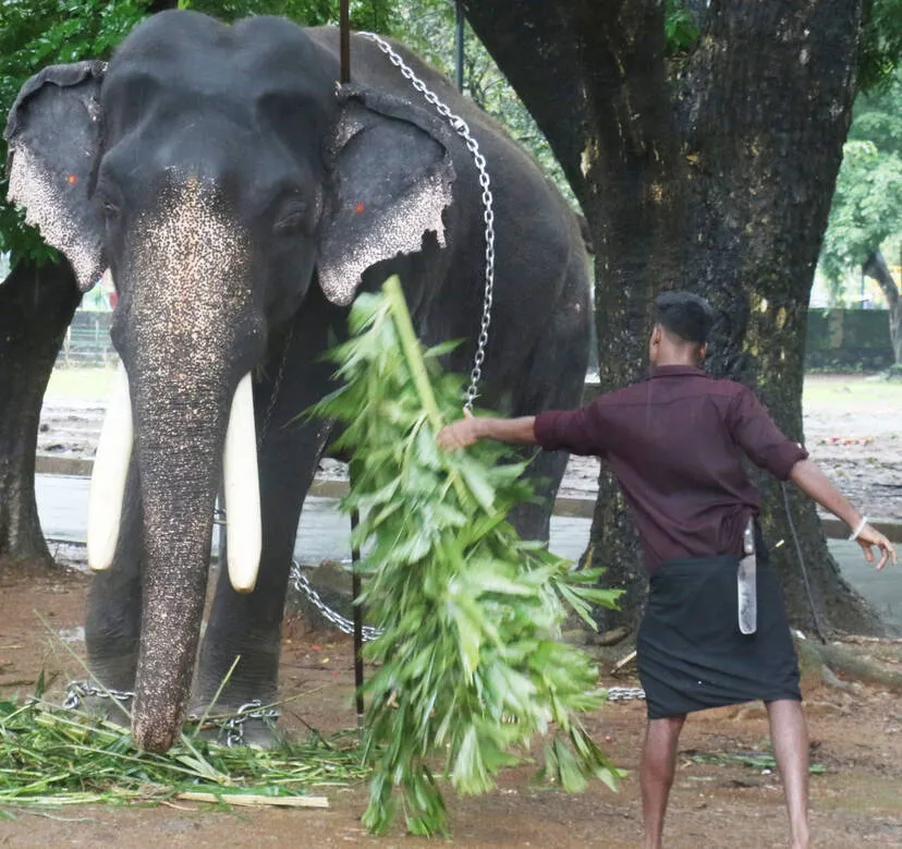 Kerala Kaumudi Photo Gallery