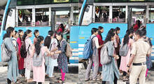 bus