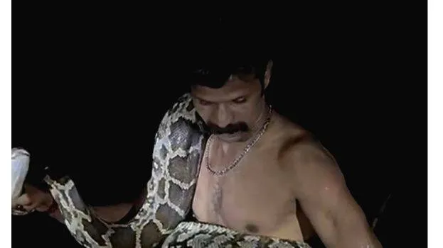 python