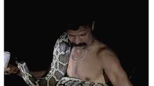 snake