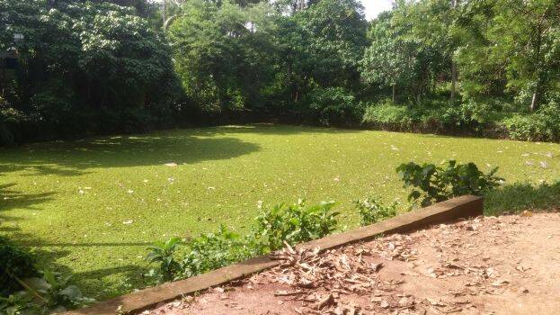 panayil-kulam
