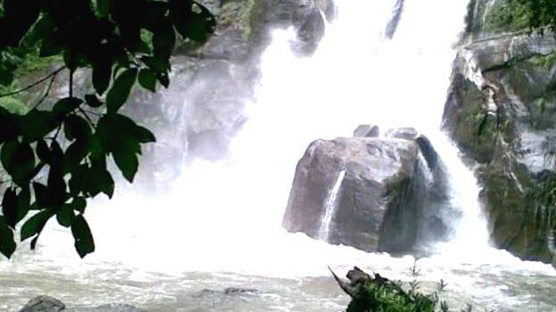 meenmutti