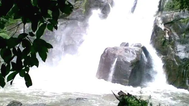meenmutti