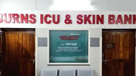 skin