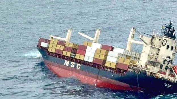 msc-elsa