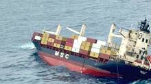 msc-elsa