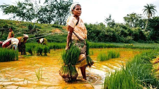 farming