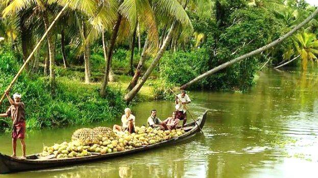 aymanam