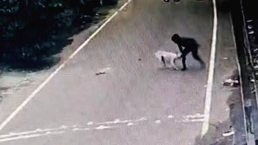dog-attack
