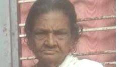 leelamani