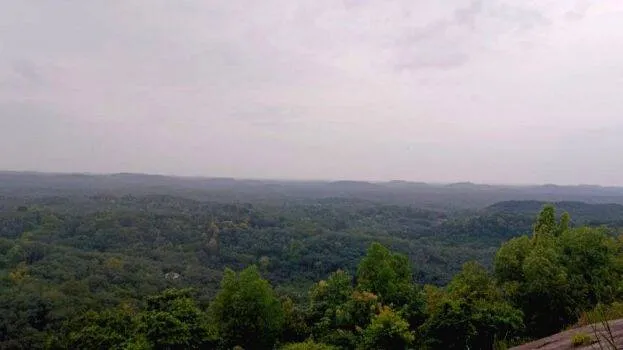 kadalkni