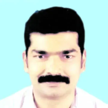 zsfvzdxc-