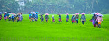 aa