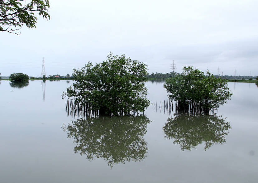 Kerala Kaumudi Photo Gallery