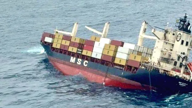 msc-elsa-3