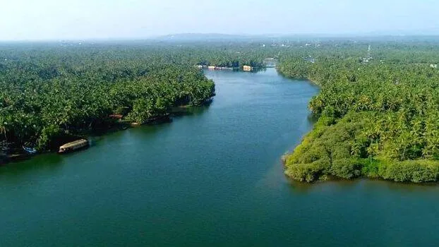 nwkavvai