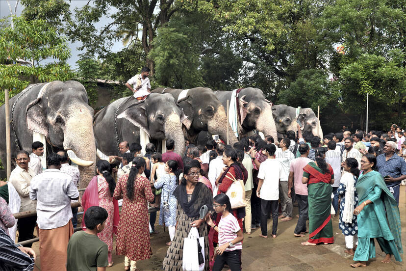 Kerala Kaumudi Photo Gallery