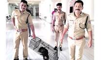 high-court-sitting-stopped