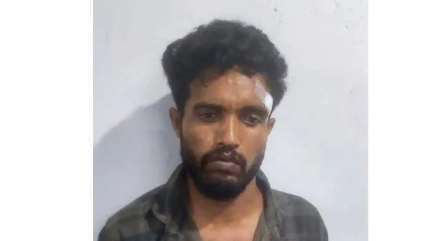 anarul