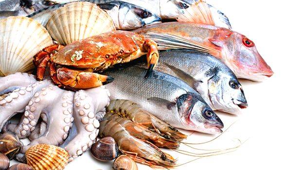 fish