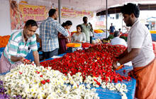 onam