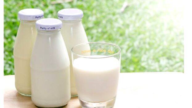 milk