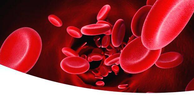 thalasemia