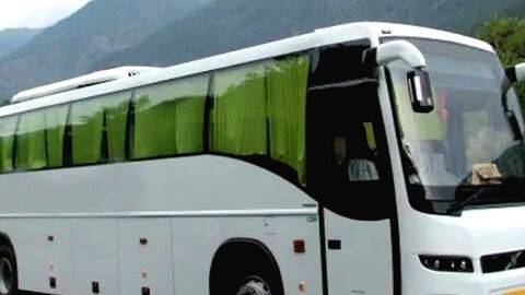 bus