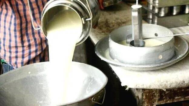 milk