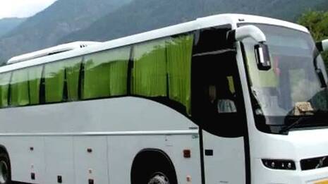 bus