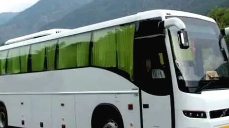 bus