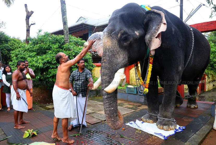 gajapooja