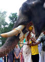 gajapooja