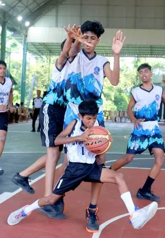 basket