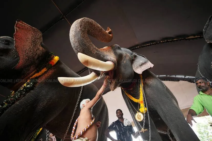 malliyoor-m