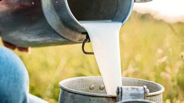 milk