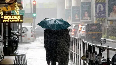 rain