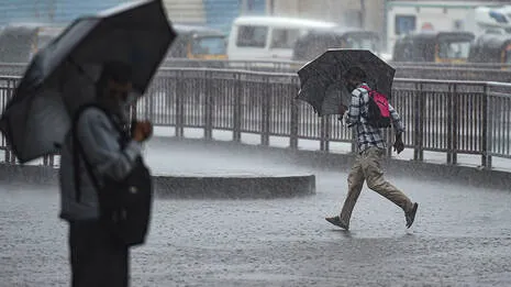 rain
