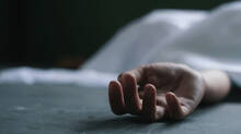 ernakulam-fever-cases