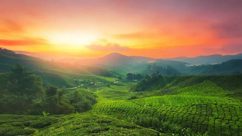 munnar