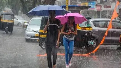 rain
