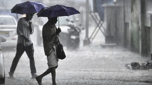 rain-alert